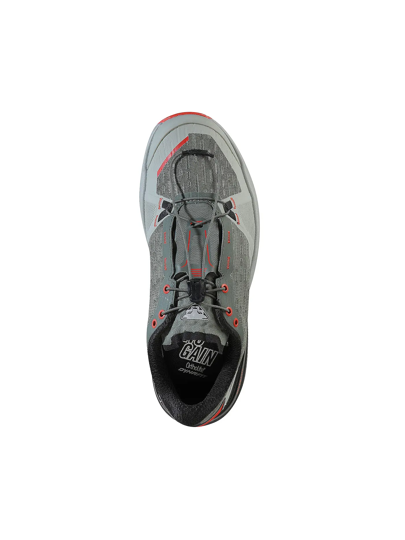 DYNAFIT | Herren Traillaufschuhe Alpine Pro2 | 